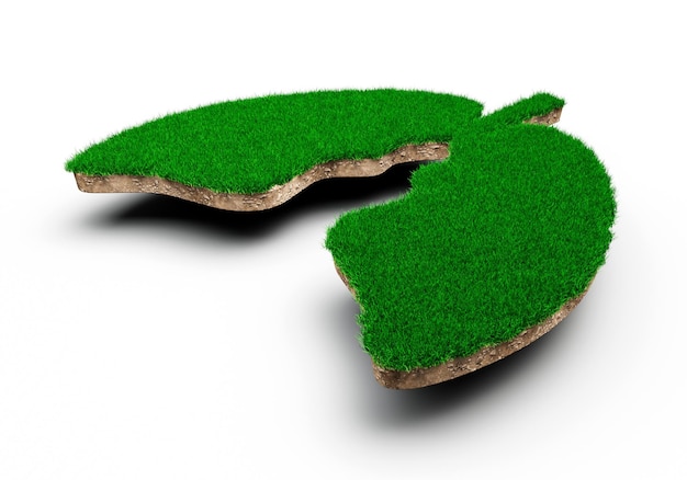 Longen vorm gemaakt van groen gras en rotsgrond textuur dwarsdoorsnede met 3d illustratie