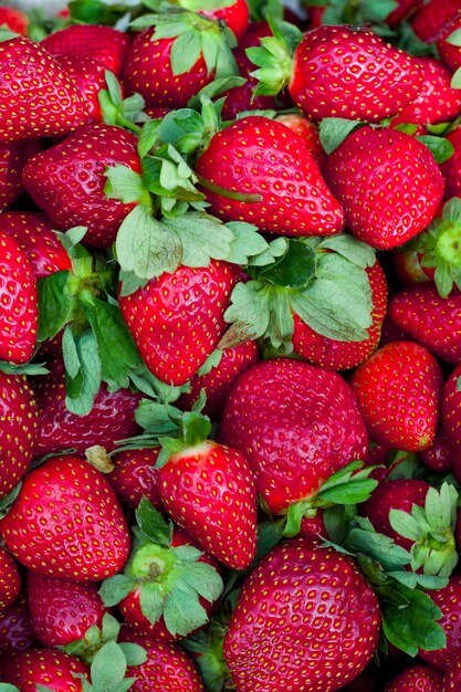 사진 딸기 과일의 세로 배경 strawberryxa의 근접 촬영