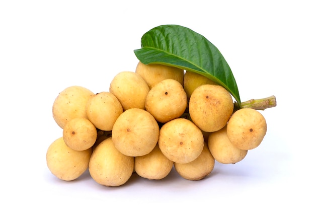 Longkong langsart thai fruit on white background