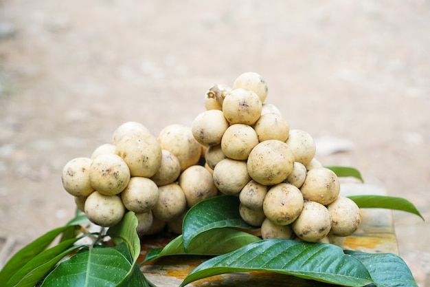 Longkong tropisch fruit Tropisch fruit en seizoensfruit uit het zuiden van Thailand