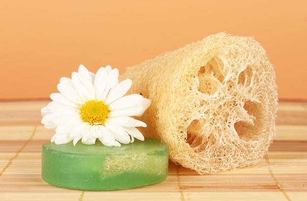 Loofah on color background