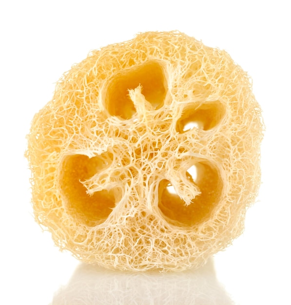 Loofah isolated on white