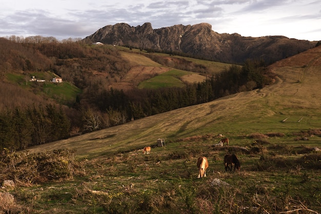 Look at Aiako Harriak three peaks at the Basque Country.