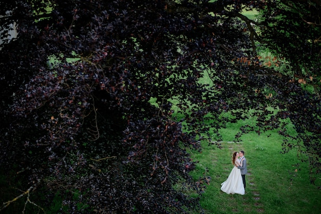 Look through the greenery at couple posing in the park