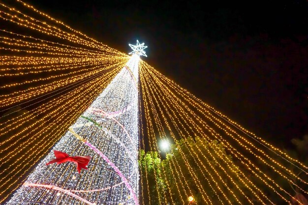 Look up view blurred and bokeh of Christmas tree lighting on night time background