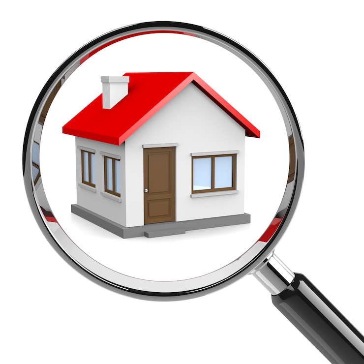 Looking for Home