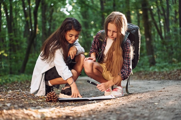 지도를 보고 모자가 바닥에 놓여 있습니다. 두 소녀가 숲에서 여가 활동을 하고 있습니다.