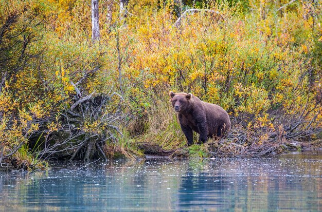 Photo looking out for the next fish