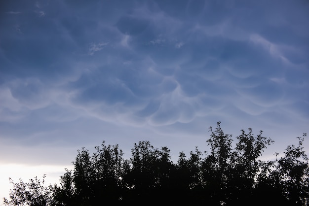 夏の夕方の空で乳房雲を見上げて