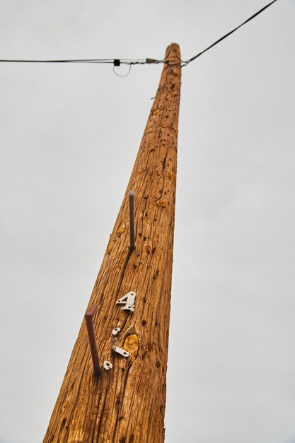 Looking up at telephone pole power with number four
