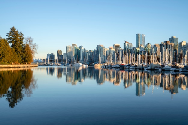 Looking to Vancouver from a park