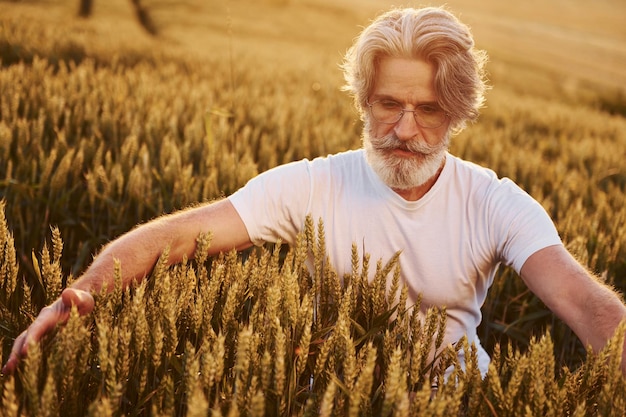 Looks at fresh harvest Senior stylish man with grey hair and beard on the agricultural field