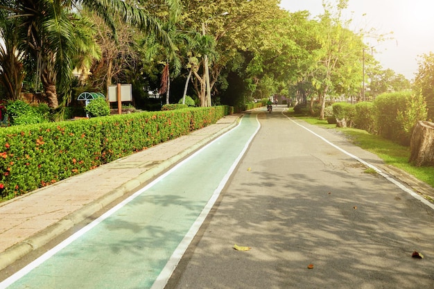 Loop- en fietspaden in het park