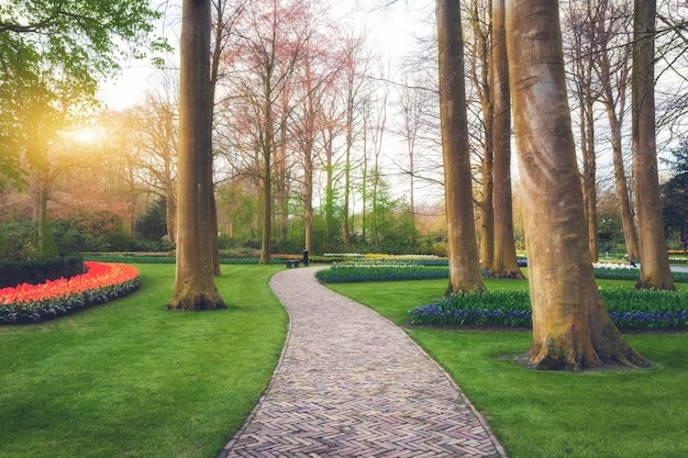 Loopbrug door het Keukenhof-park in Nederland