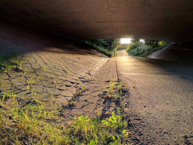 Foto loopbrug tussen planten