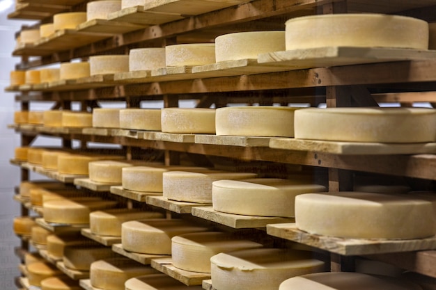 Loops of cheese in on wooden shelves in a storage.