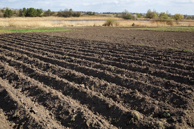 Loose soil before planting vegetables on a spring day, agriculture