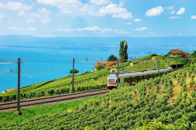 Lopende trein bij de spoorweg in Lavaux Vineyard Terraces-wandelpad aan het meer van Genève en de Zwitserse bergen, district Lavaux-Oron, Zwitserland