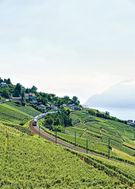 Lopende trein in Lavaux Vineyard Terrace-wandelpad bij het meer van Genève en de Alpen, district Lavaux-Oron, Zwitserland