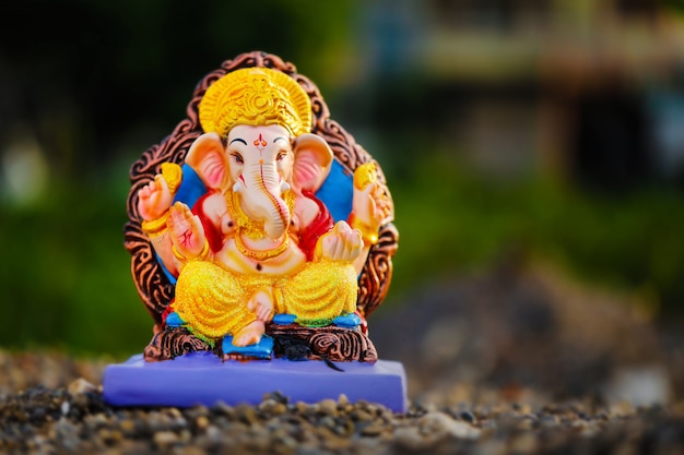 주 님 코끼리, 인도 ganesh 축제