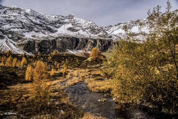 Foto loriaz in vallorcine in alta savoia in francia