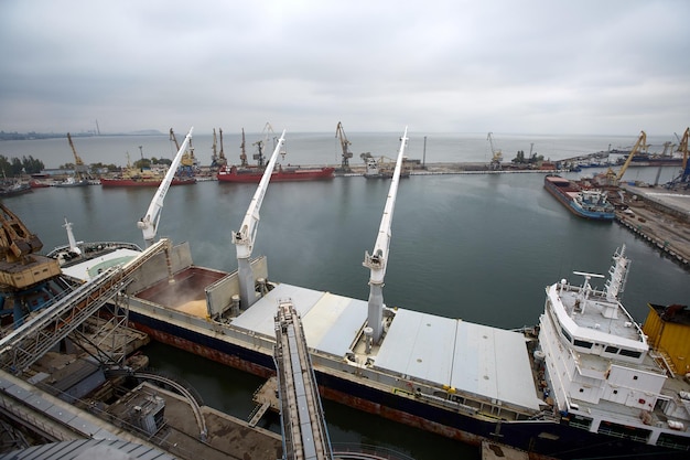 Lorry truck at grain elevator Agriculture crops transshipment at big sea terminal at seaport