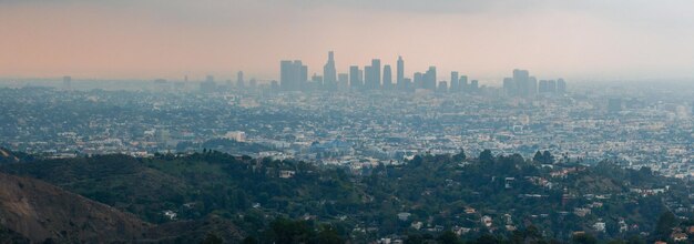 Photo los angeles hot sunset view with palm tree and downtown in background