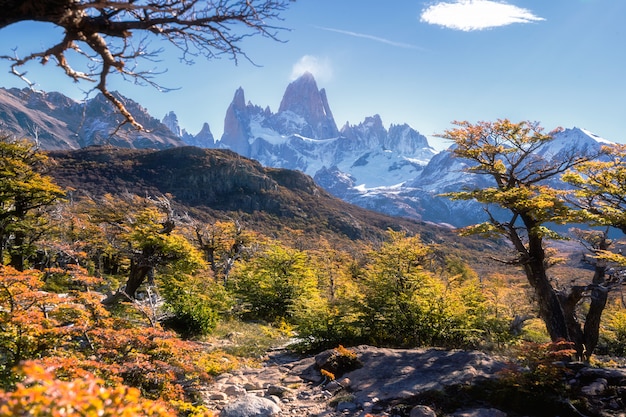 Los Glaciares National Park, provincie Santa Cruz, Patagonië, Argentinië, Fitz Roy mount.