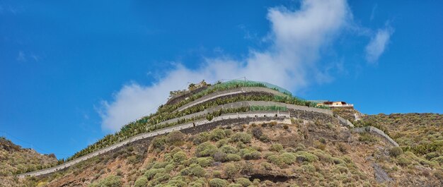 Los llanos la palma canary islands banana plantations around los llanos la palma spain