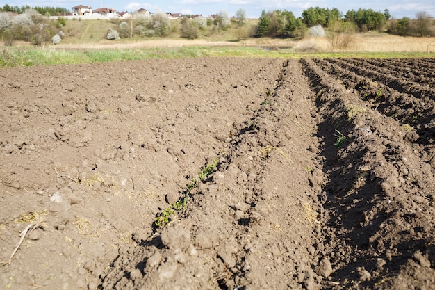 Losse grond voor het planten van groenten op een lentedag, landbouw