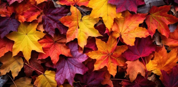 A lot of colorful leaves Naturalistic tones Generative AI