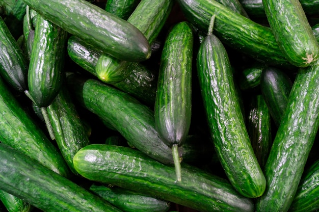 A lot of cucumbers are in a box in the store