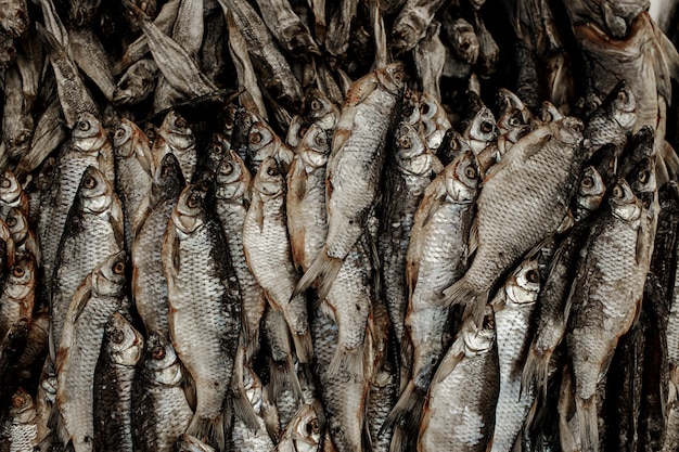 A lot of dry fish