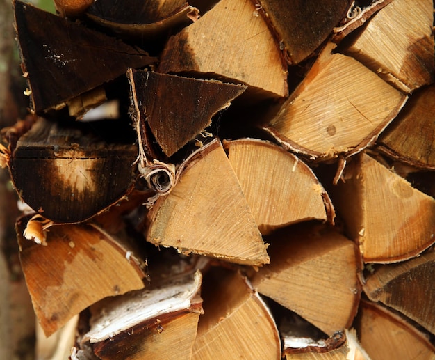 A lot of firewood stacked evenly in the yard