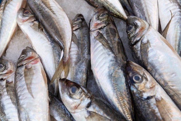 A lot of fresh fish on the counter in the market. Close-up.