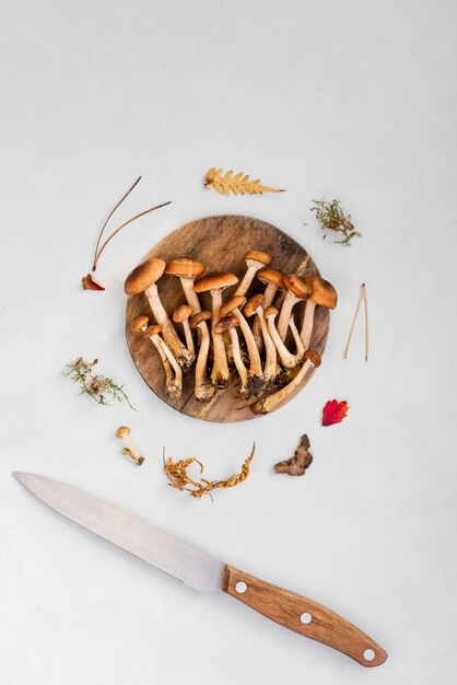 A lot of fresh, raw mushrooms on a wooden round plate with a knife