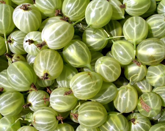 Photo lot of fresh ripe green gooseberries as fruit background top view close up