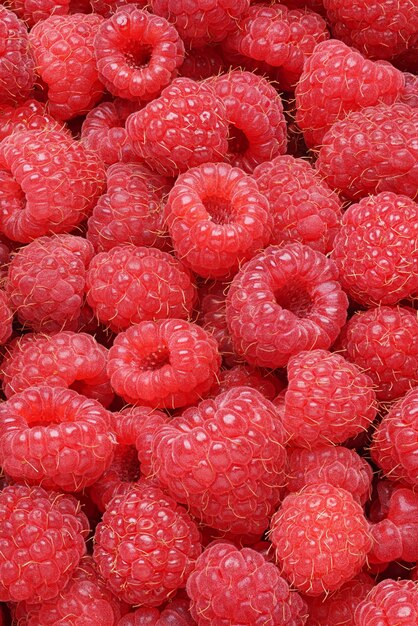 Lot of fresh ripe raspberries