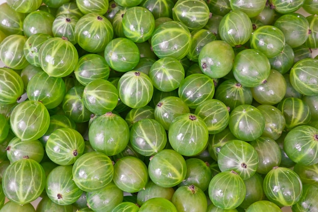 A lot of green gooseberries as background