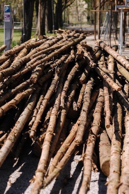 Lot of log trunks for building rustic house in the park