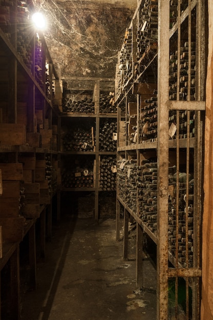 A lot of old wine bottles in the web in the wine cellar on the shelves