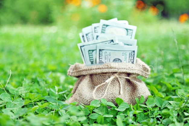 Lot of one hundred dollar bills in bag on grass background