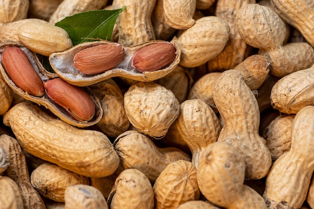 A lot of peanuts almost all closed and a few open and green leaf