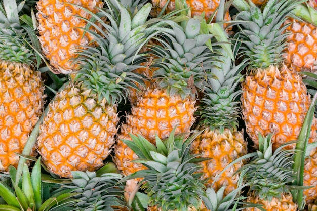 A lot of pineapple fruit for background.