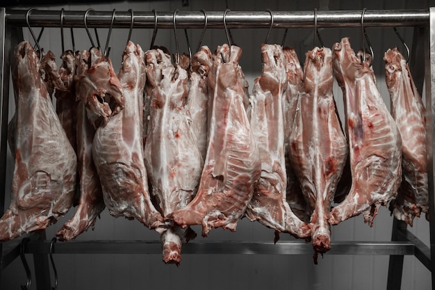 A lot of raw meat hung and arranged in a row in a processing\
meat production factory horizontal view