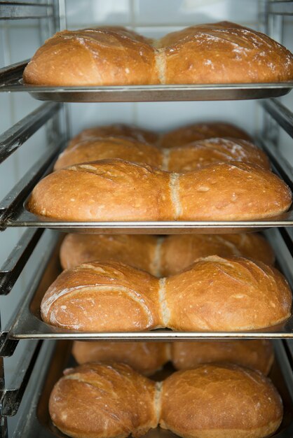 A lot of ready-made fresh bread in a bakery oven in a bakery.