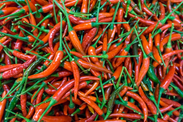 Lot of red chilli peppers