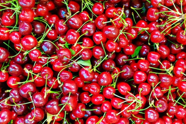 A lot of ripe and sweet cherries on the counter