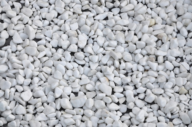 A lot of round and oval stones of white color lie on the ground in the garden