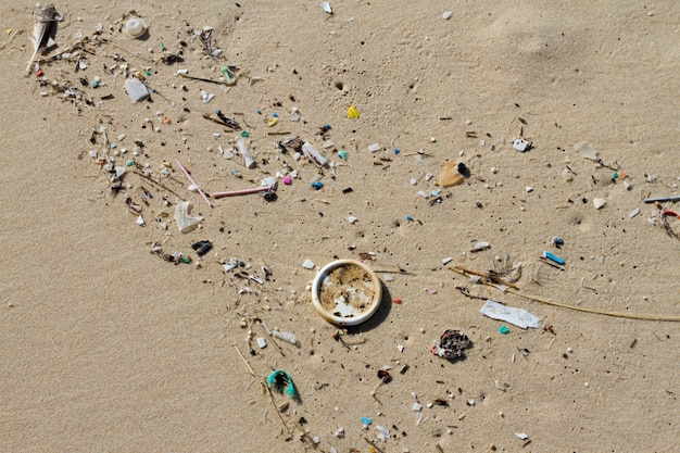 Lot of rubbish washed up on the shore on the beach